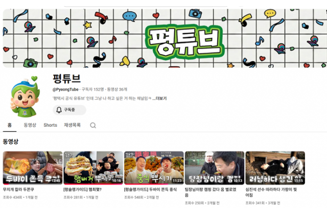 [특집] 평택시, B급 아닌 ‘B급 감성’ 평튜브…유쾌…